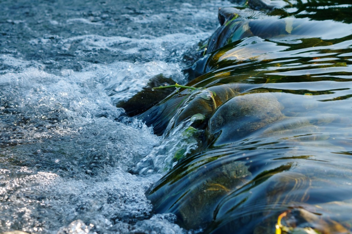 "A small piece of a much larger vision."