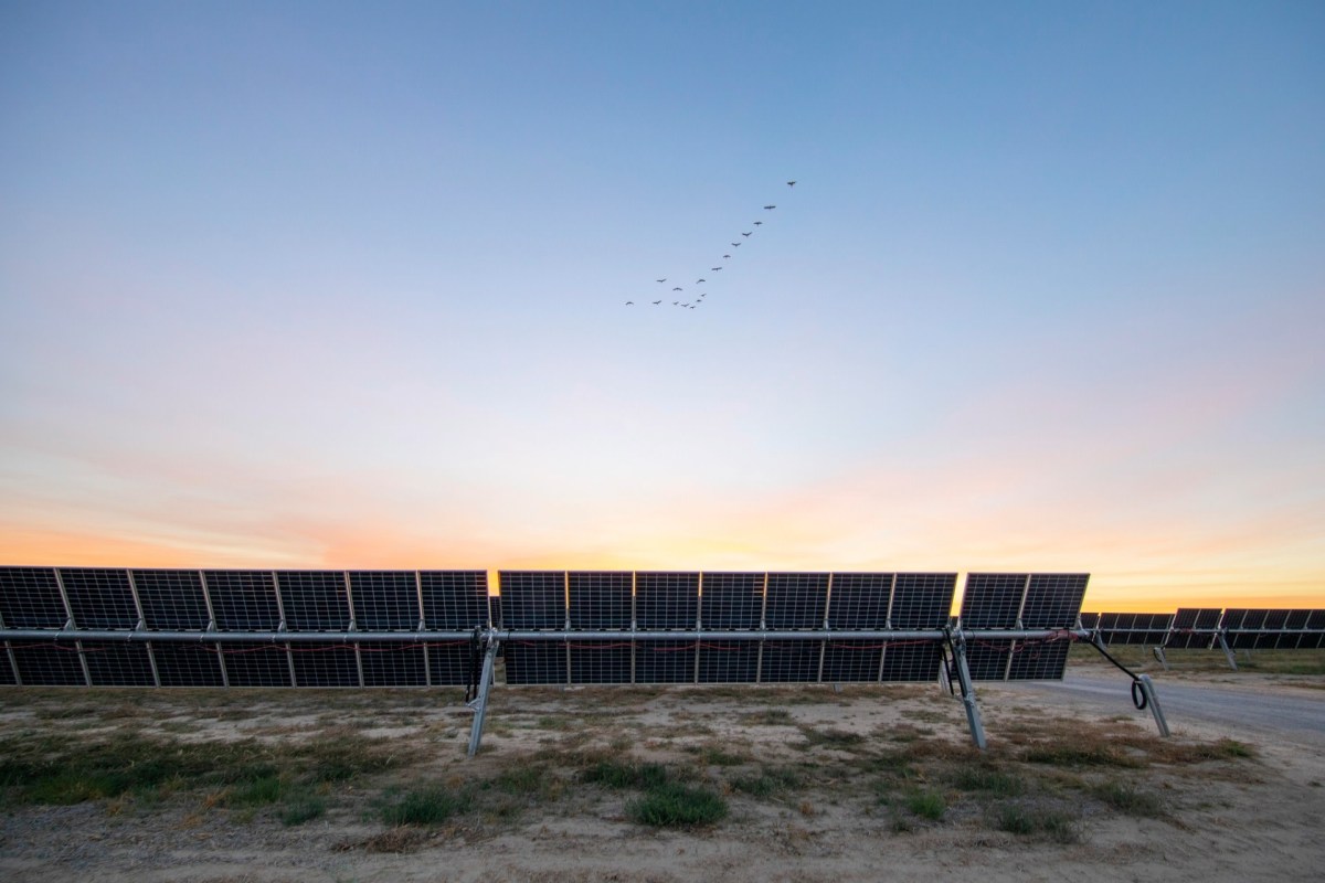 "A huge accomplishment for us because it takes away the fear of doing more of these."