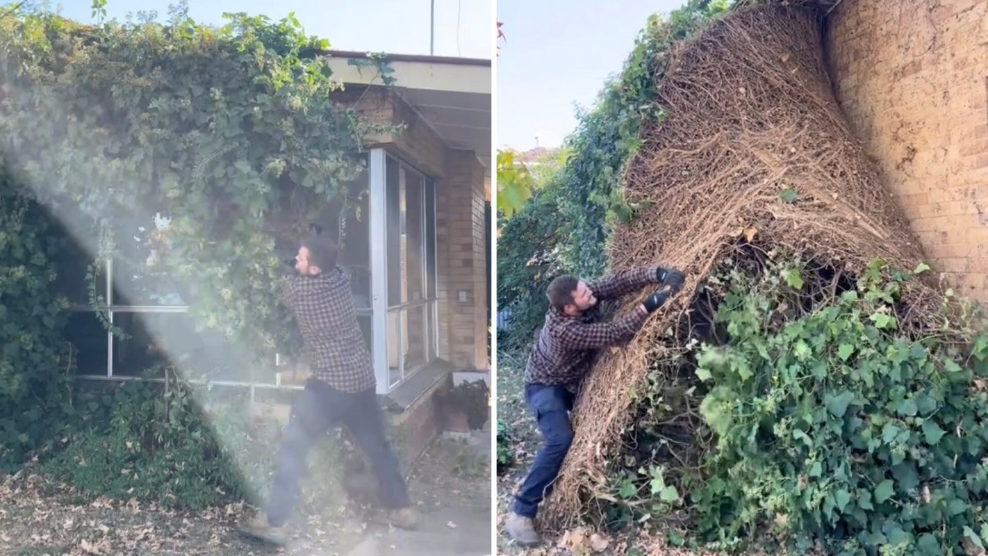 "It was all hands on deck, but we got it done."