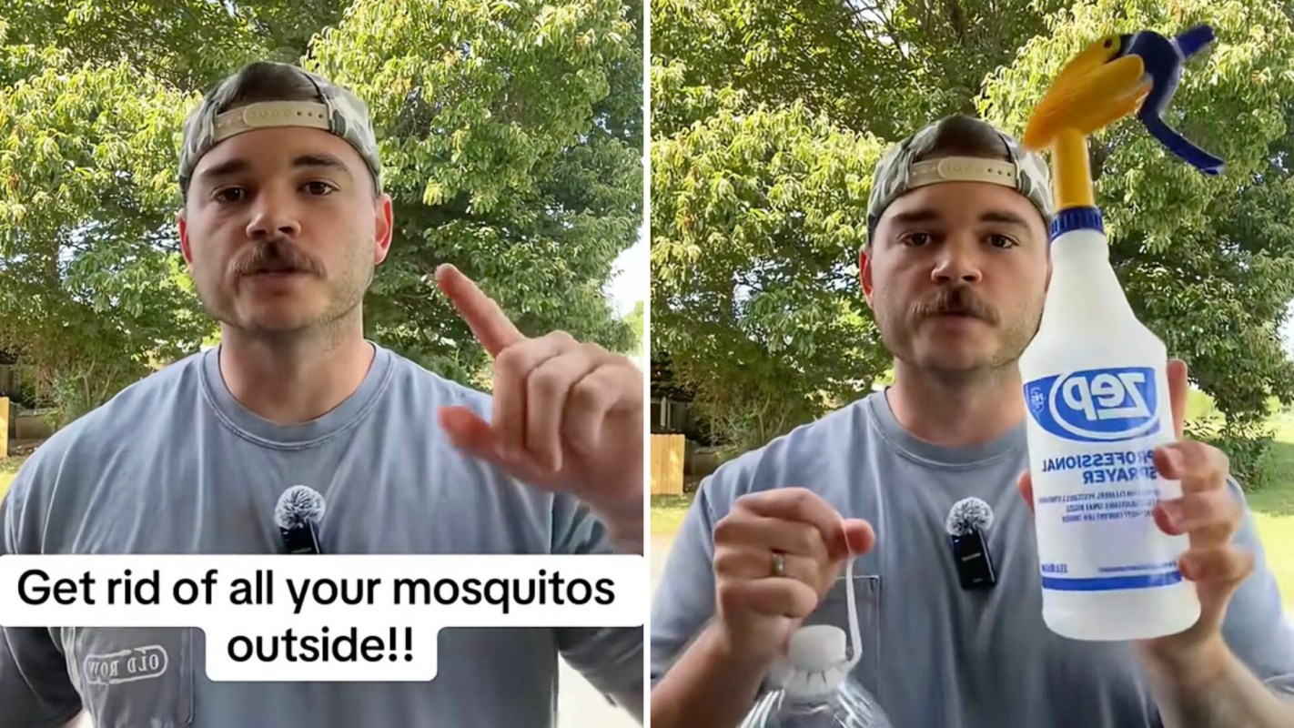 "You are my lifesaver."