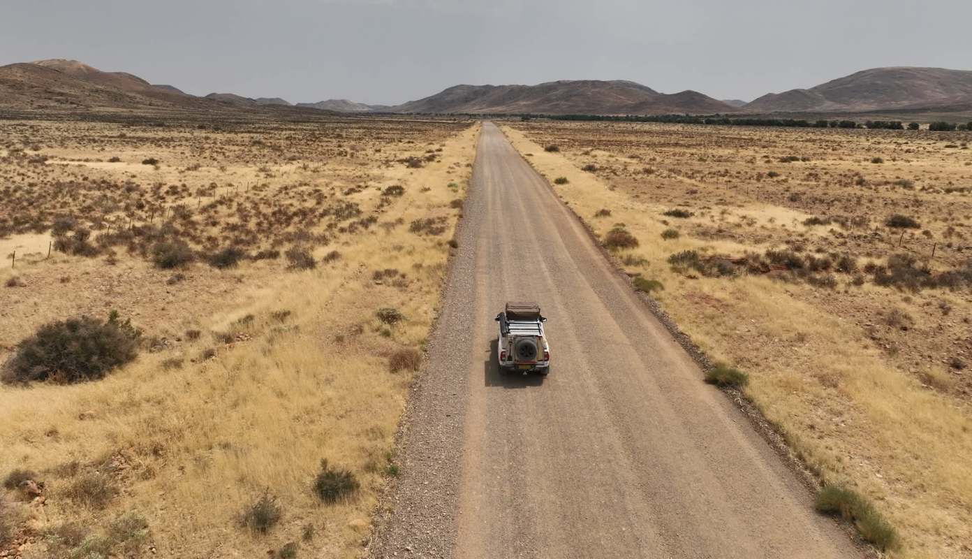 "[Herbivores] know if they're near these areas of vegetation, lions can hide and ambush them."