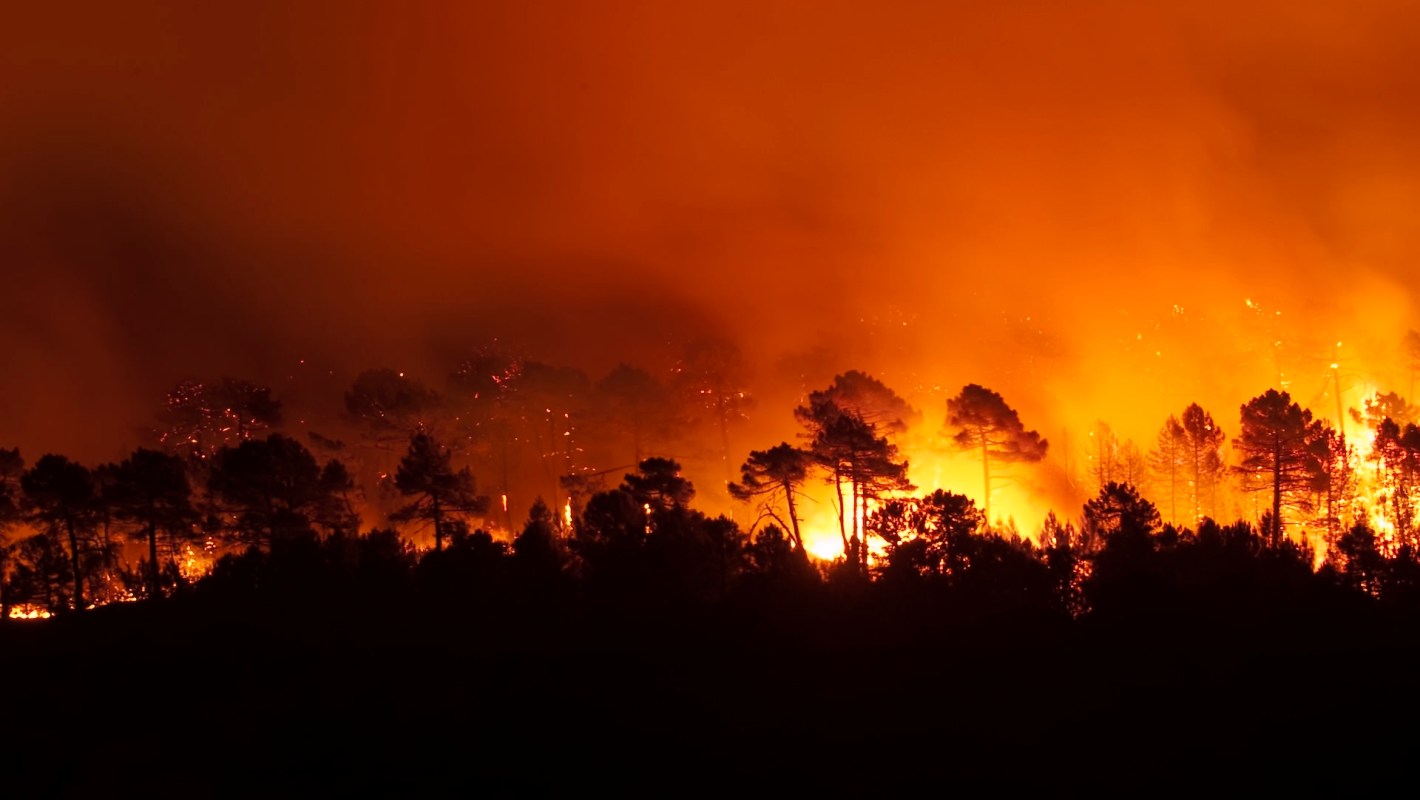 "There are very strong winds and the fires are out of control."