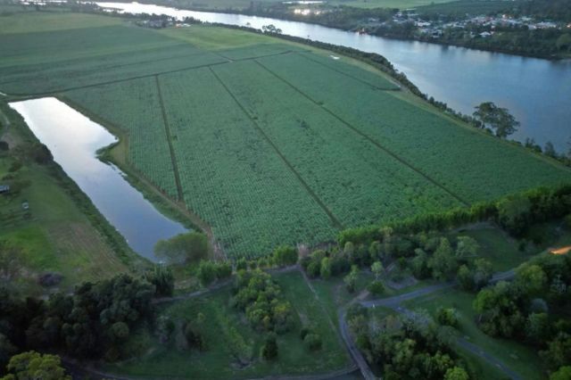 "It's just another hit to the small business owners."