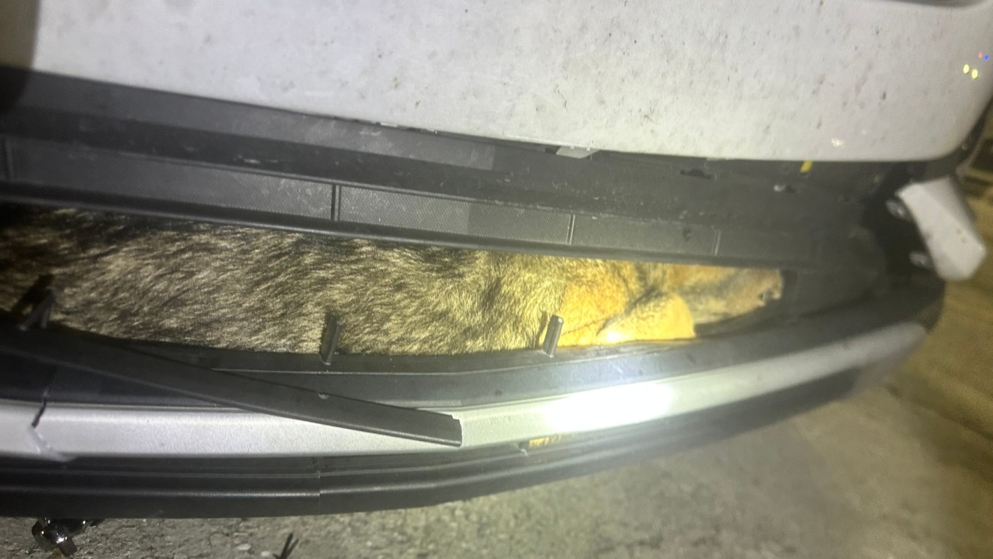 "He's in excellent hands now!"