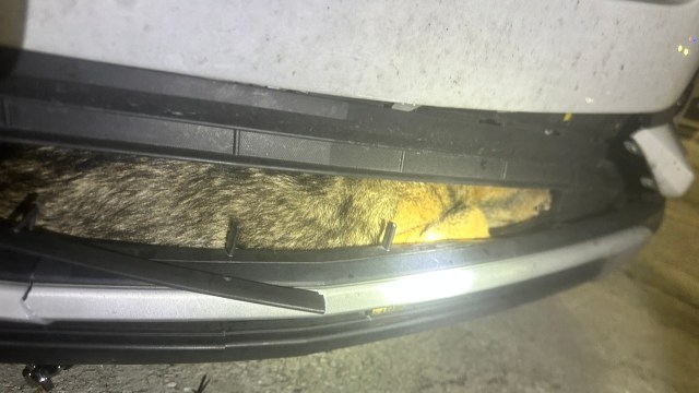 "He's in excellent hands now!"