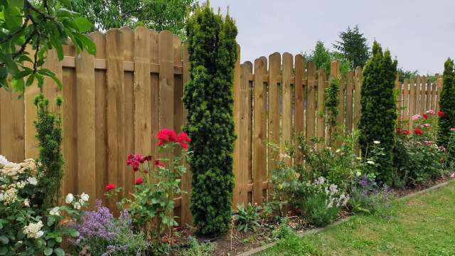 The comments section was full of people debating how far an HOA can go.