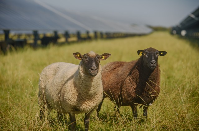 It will have multiple benefits.