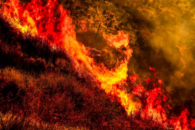 "Compared to last year, there is a greater likelihood of significant timber fires."