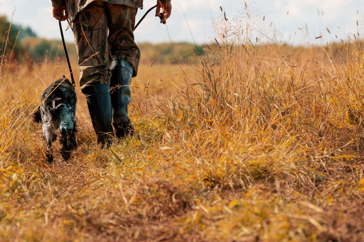 The islands collectively welcome over 10 million visitors annually.