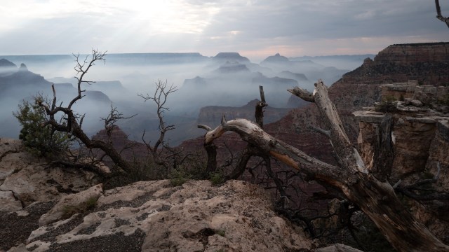 "High winds and low humidity will continue to work against firefighters as they battle the flames."