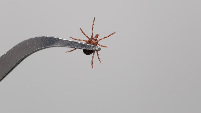 Concern is growing across the nation.