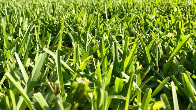 "This is not right. I'd fight that."