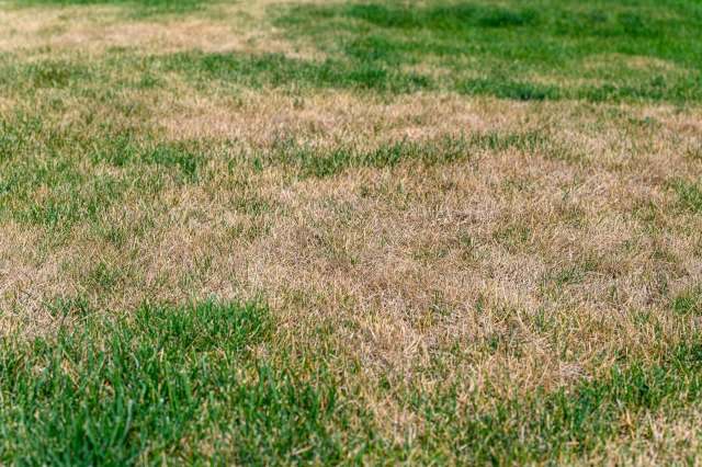 "I wrote a level-headed note to the HOA explaining this conflict."