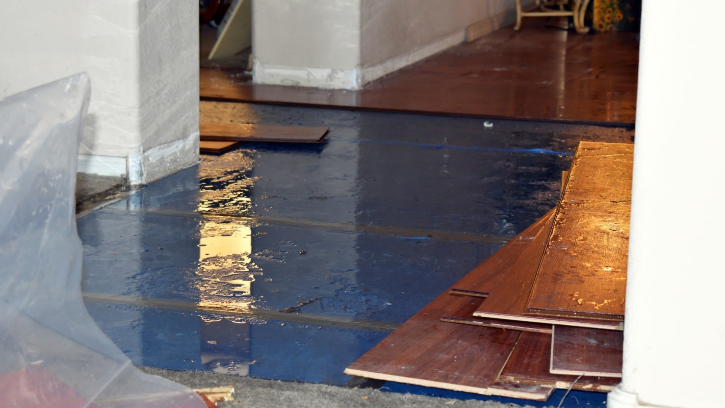 "It's been an entire month of constant arguing."