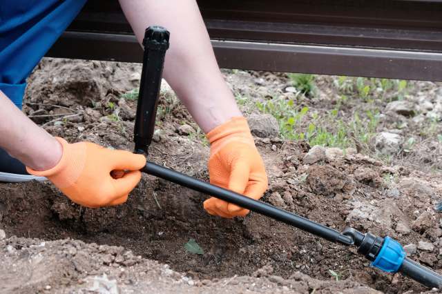 "It might make them back off."