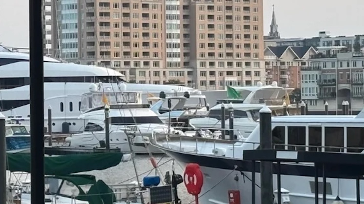 "Something is going on."