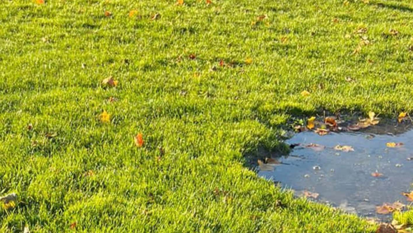 "This is why [we] can't have nice things!"