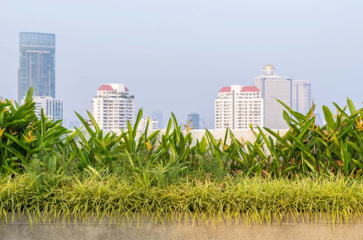 "The dream ... is to have multiple sites."