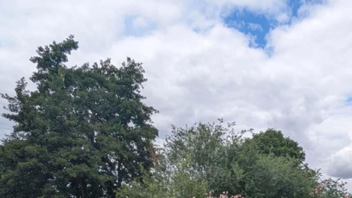 "There's so much of it, I don't know where to start."