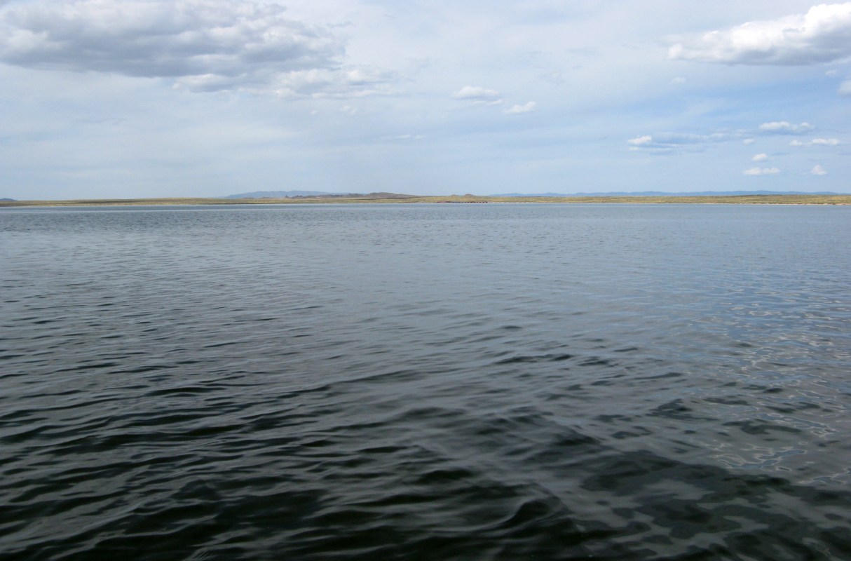 "Potential health risks."