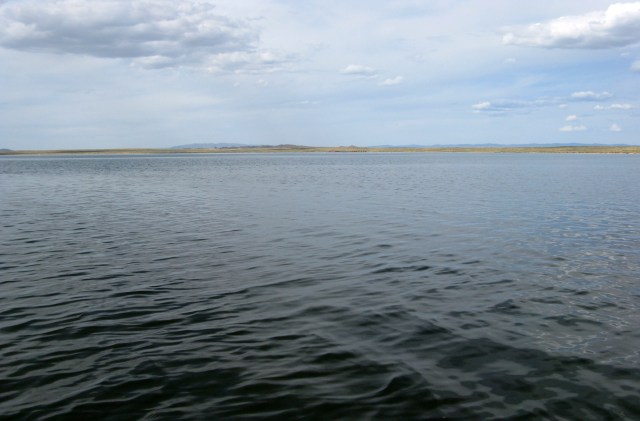 "Potential health risks."