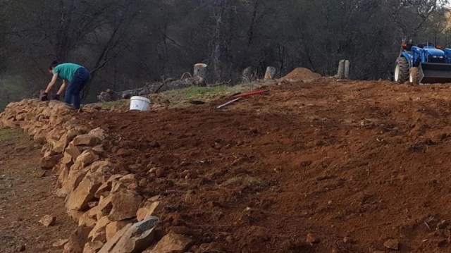 "If you take the time to make your soil healthy, it will give back to you tenfold."