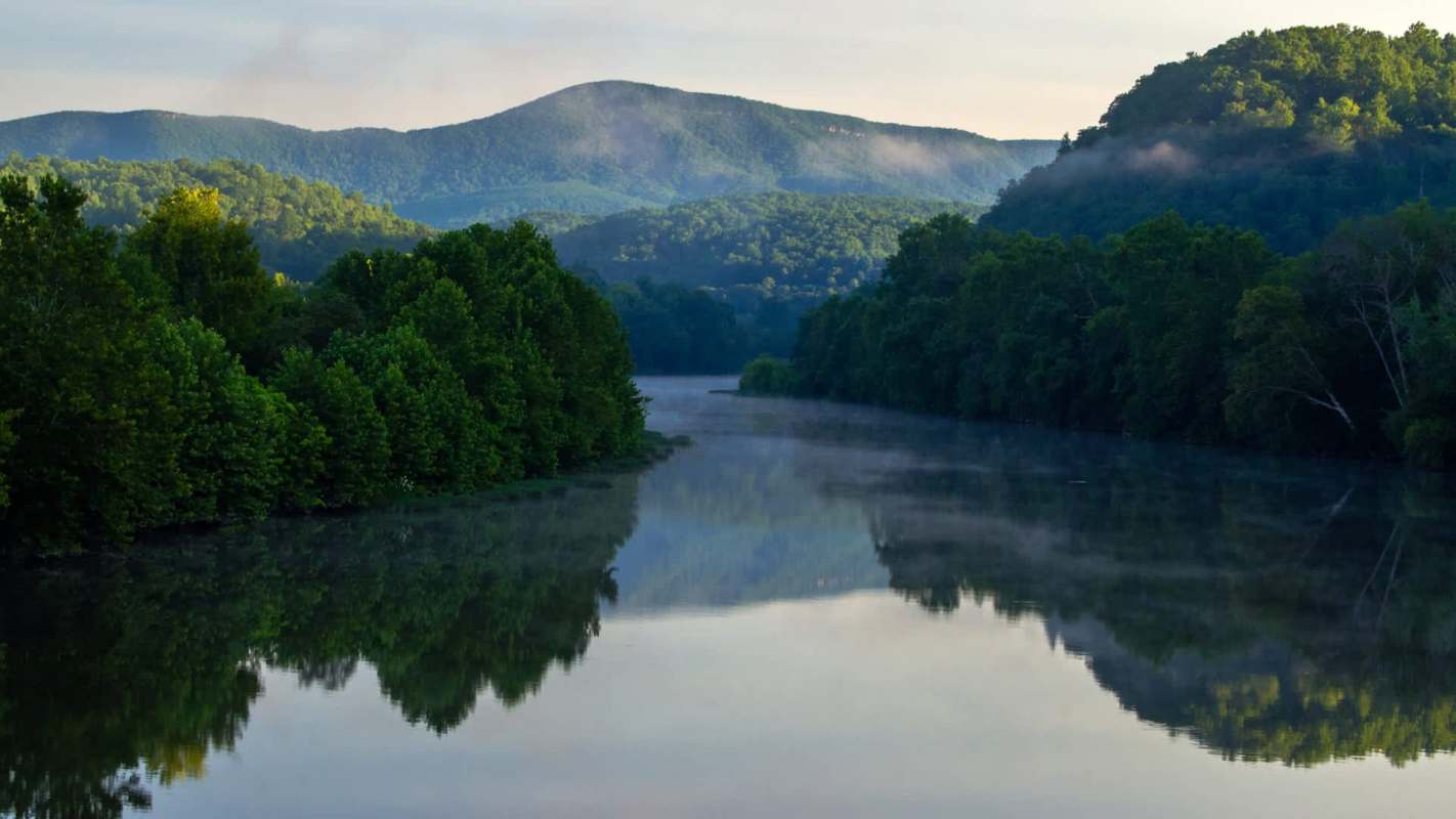 Hurricane Helene leveled homes and took human lives, and it also damaged irreplaceable wildlife habitat.