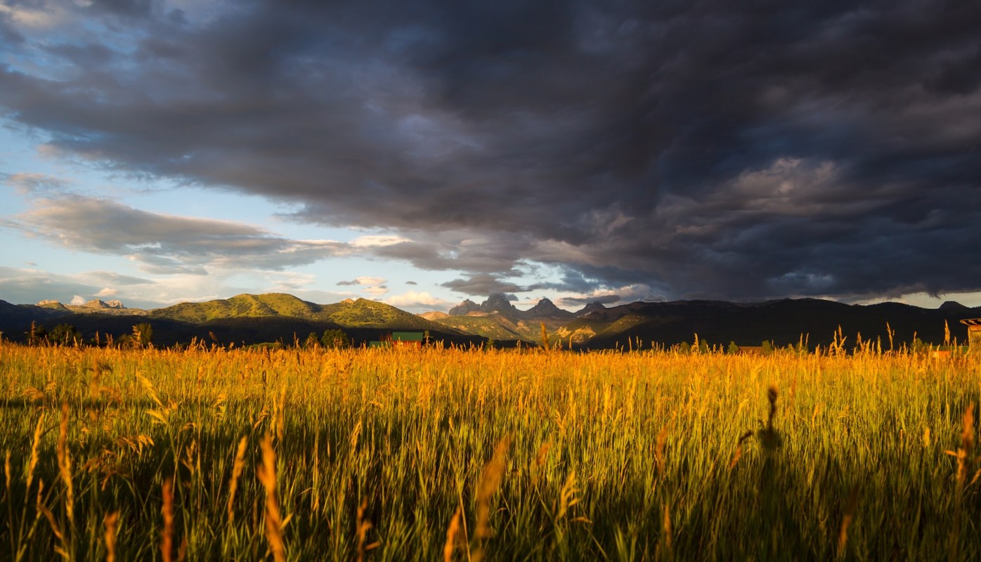 "This is our livelihood."