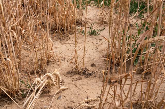 It could lead to conflicts.