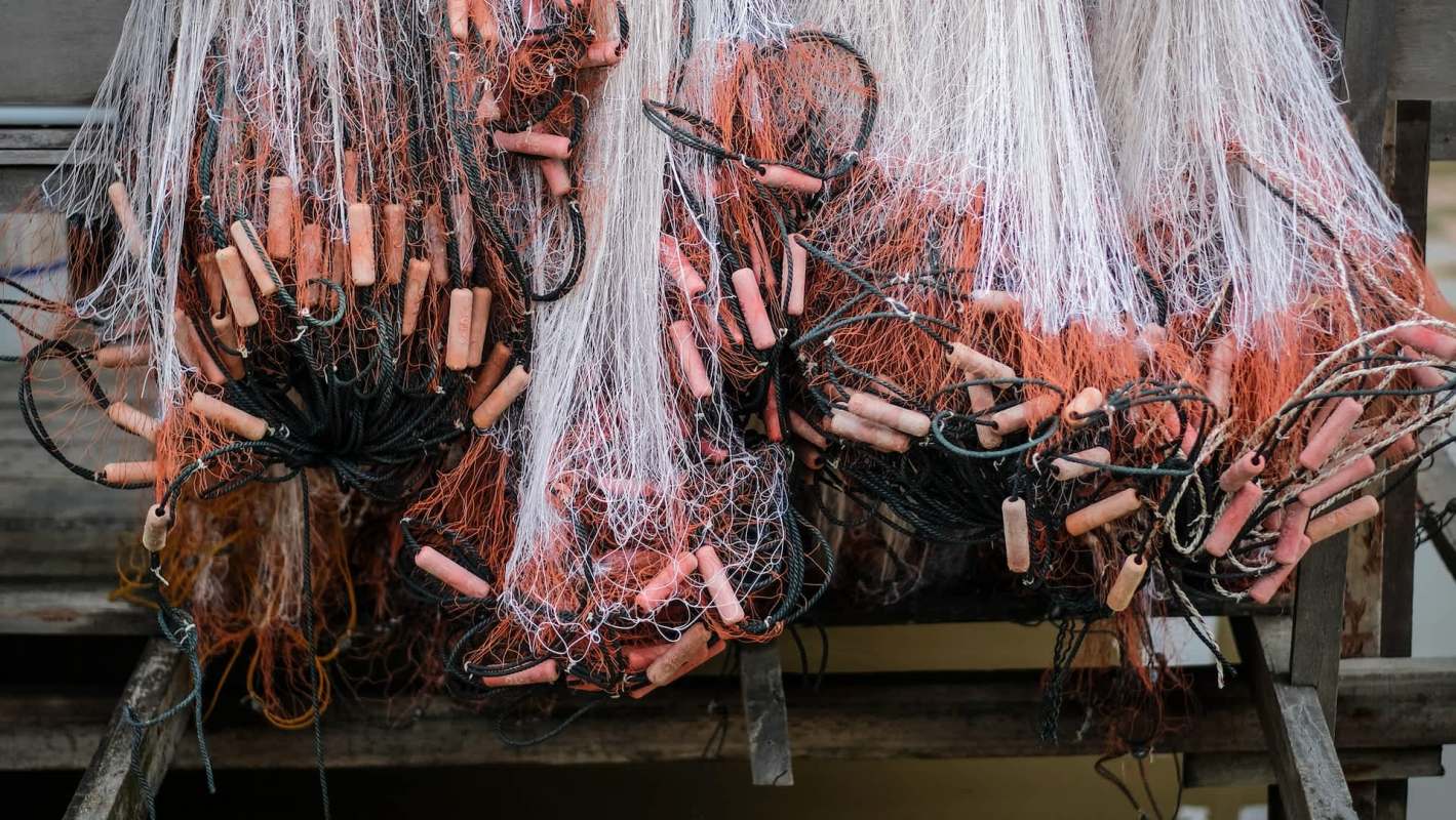 Officials are ramping up efforts to stop the illegal practice.