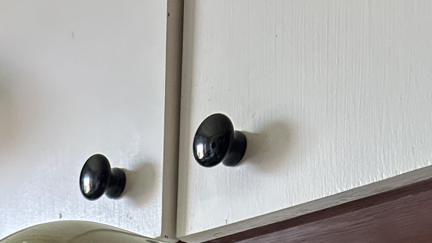 "Beautiful color and amazing price."