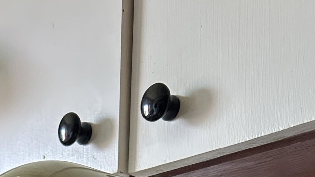 "Beautiful color and amazing price."