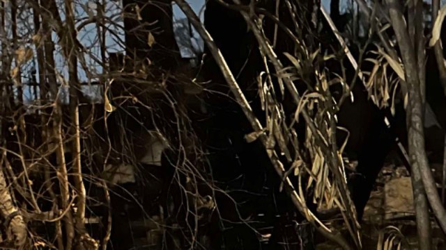 "It is so disheartening."