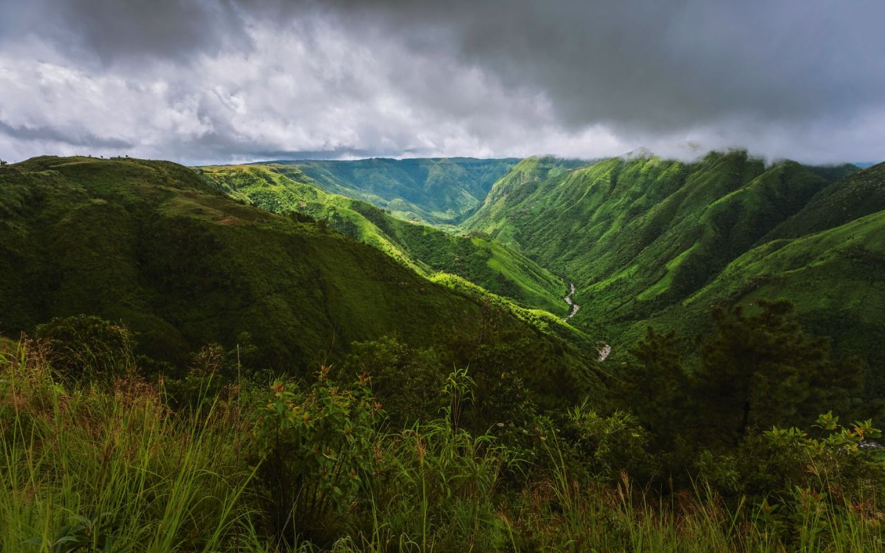 "Research must be intensified."