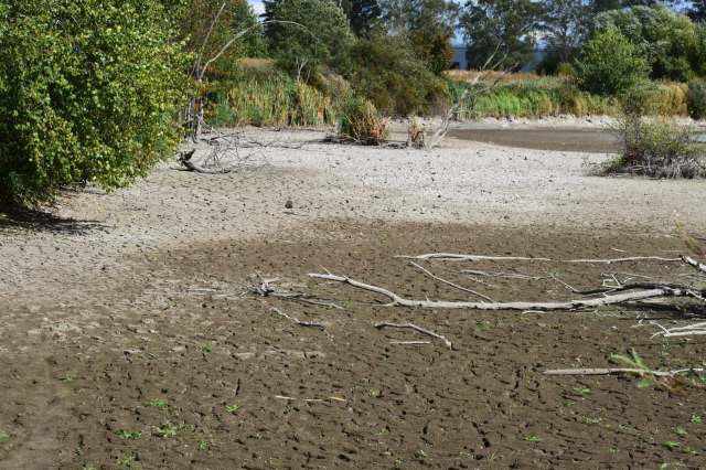 Most of the fish that lived there died.