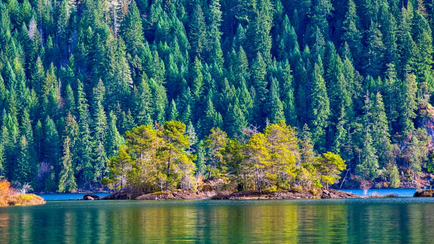 It prompted a change in officials' plans.