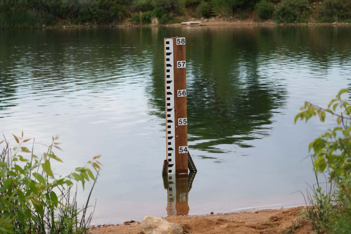 Rising water levels are good news for both municipalities and wildlife.