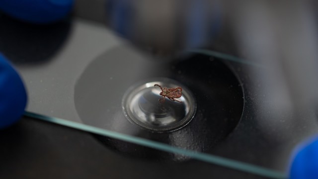 We've seen similar trends before.