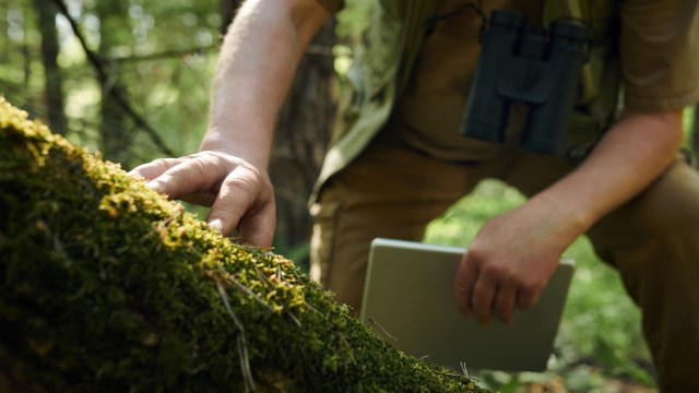 The data collection isn't over.