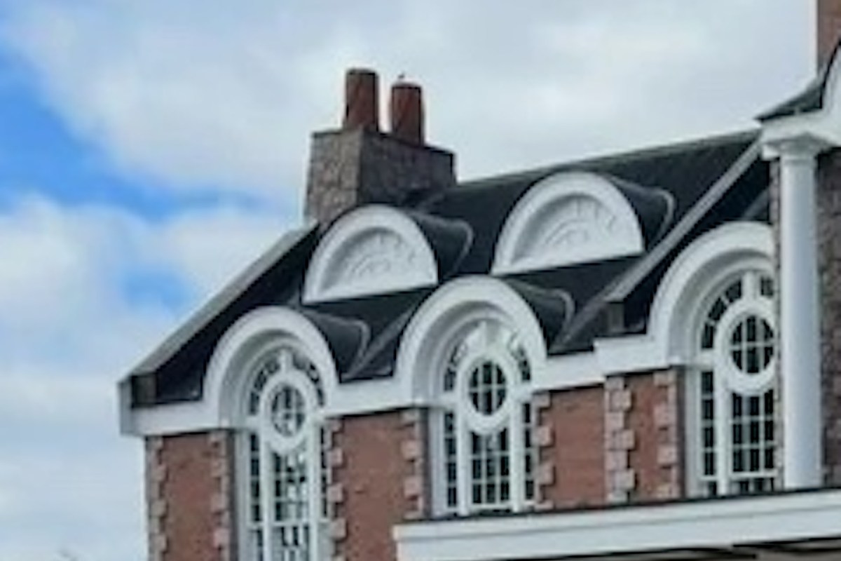 "Why did they do that?"