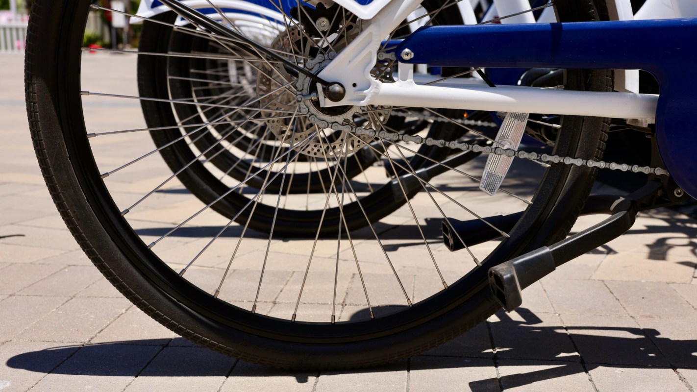 "Looking really nice."