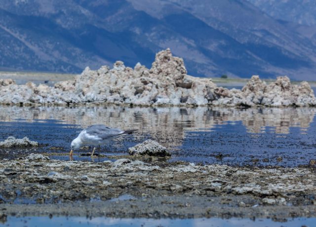 "The good years aren't as good as they used to be, and the bad years are much worse."