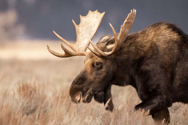 "I would be very careful posting these videos."