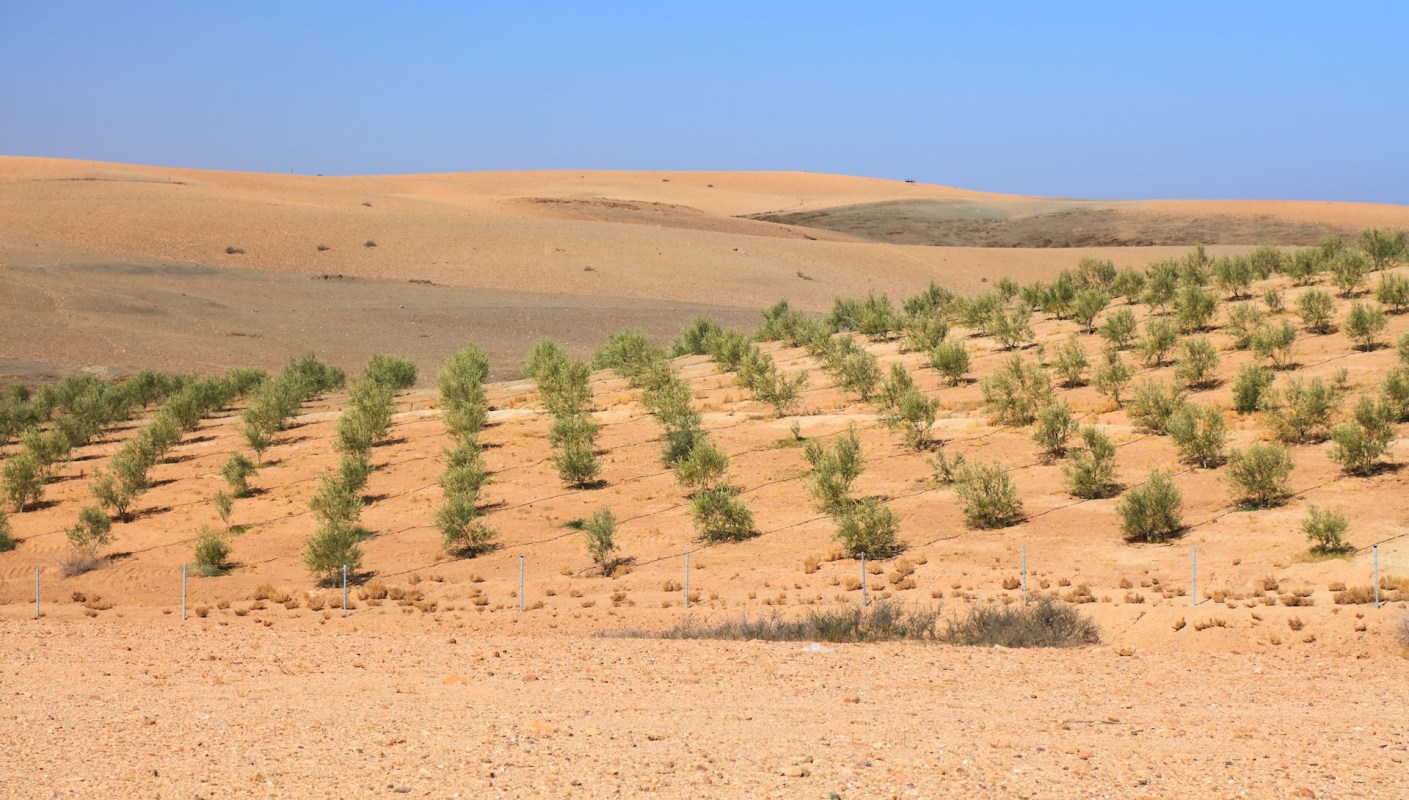 It has the potential to solve several issues at once.