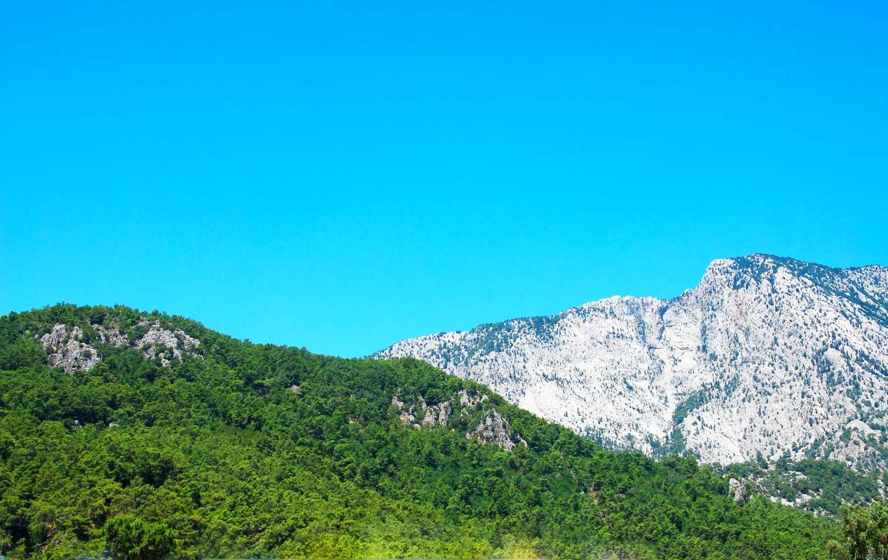 Several factors are reshaping the terrain.