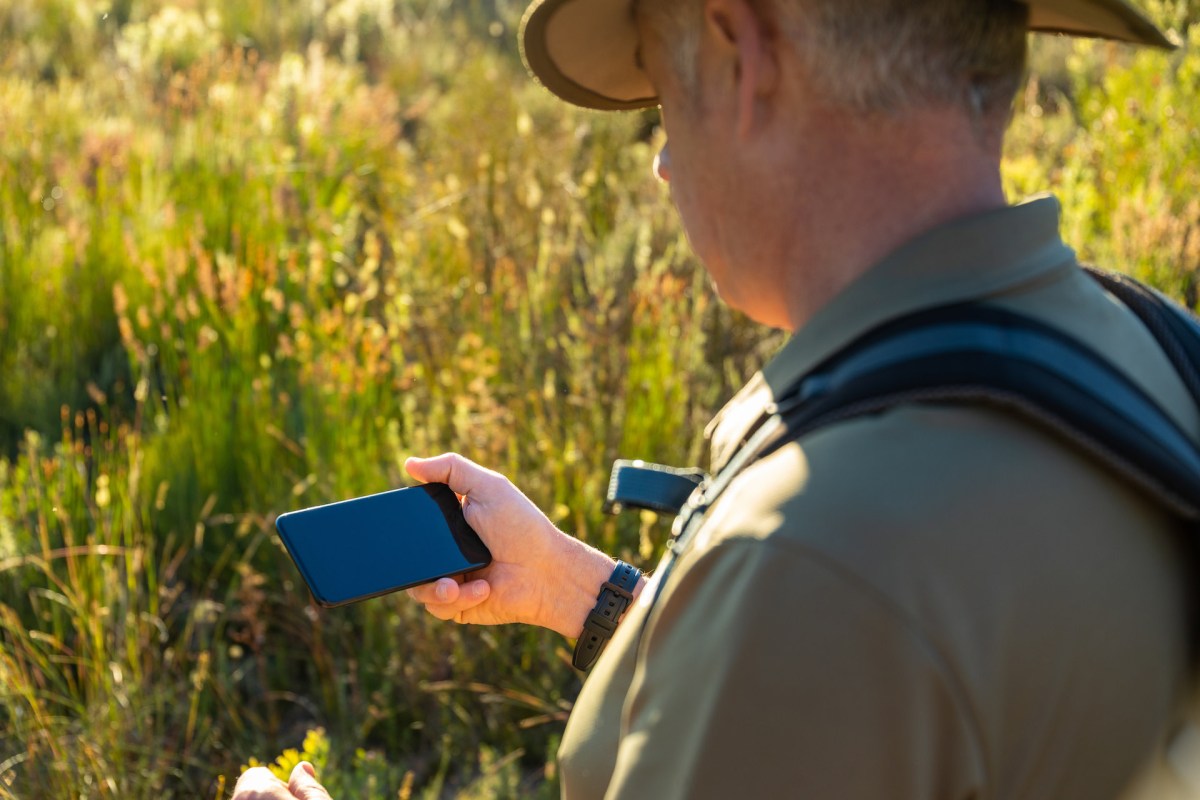 It could have multiple positive impacts.