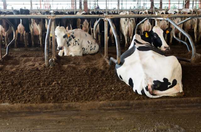 "There’s a window right now."