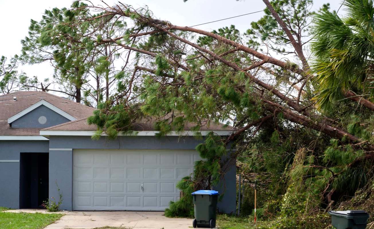One of these robots can capture data so well that it would take more than 800,000 drones to do the same.