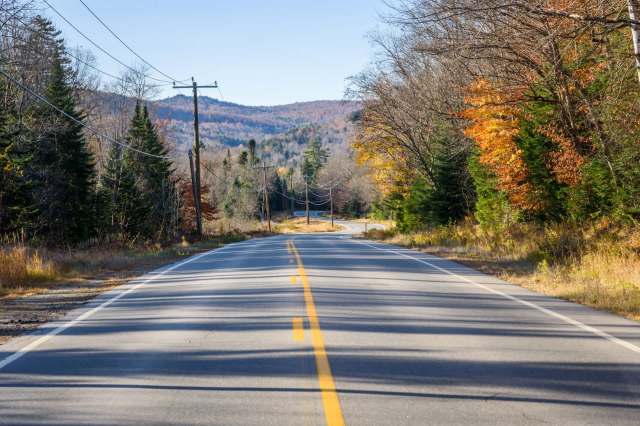 "What could possibly go wrong?"