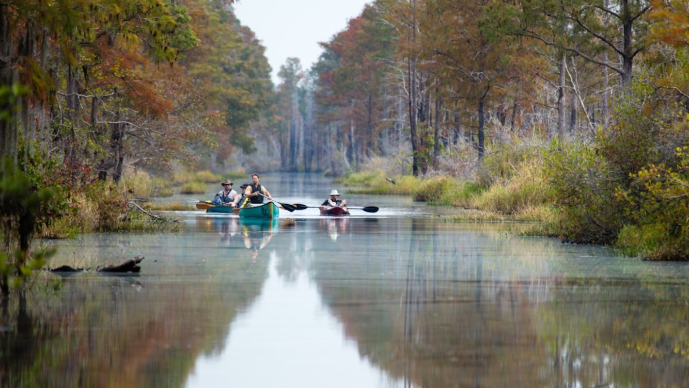 "It was one of the largest public campaigns that I have ever been involved in."